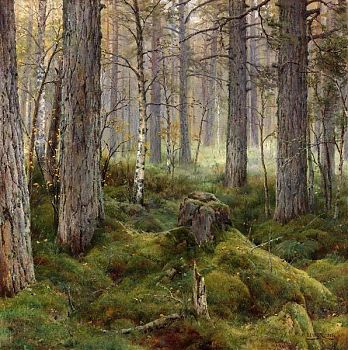 Иван Августович Вельц - Березовый лес, пейзаж - 170137