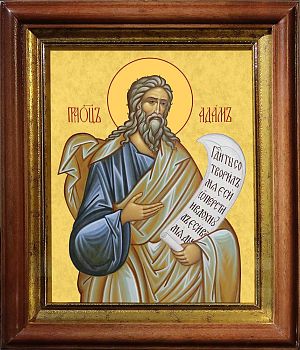Икона Адама праотца всех людей в киоте | Размер 13х16 см | 40200-5 (09А2)